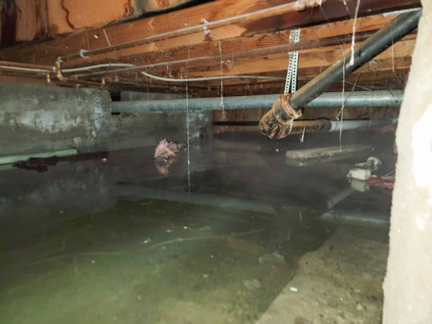 Professional Water damage restoration in Weddington, NC